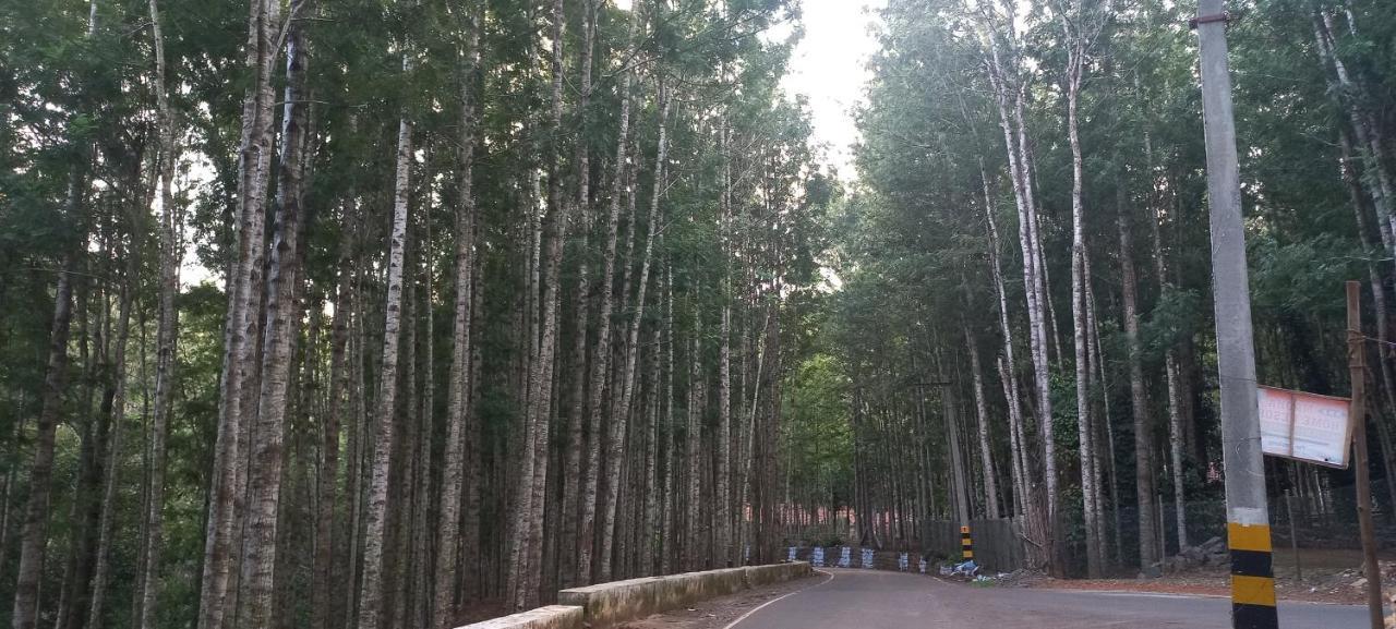 Istays - Loop Road, Yercaud Exterior photo